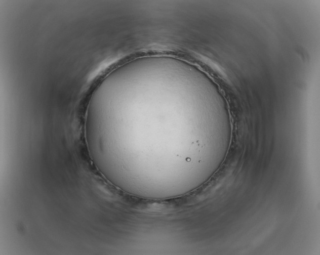 X0000114061160200910191455