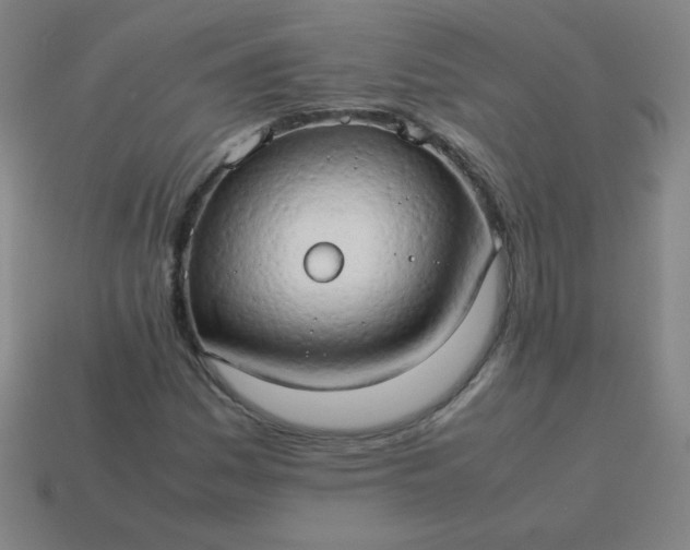 X0000114061161200910191455