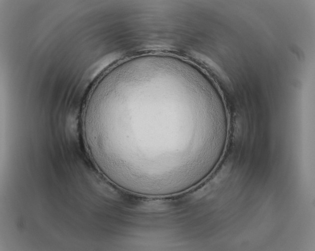 X0000114061162200910191455