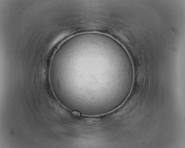 X0000114061163200910191455