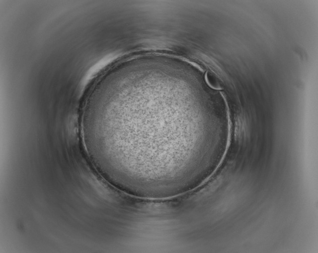 X0000114061164200910191455