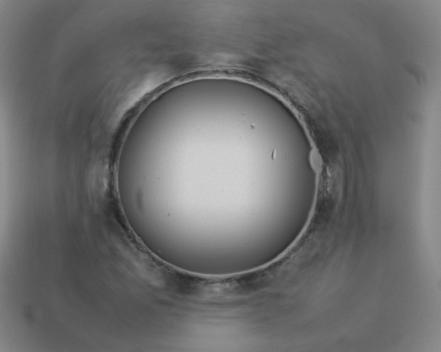 X0000114061165200910191455