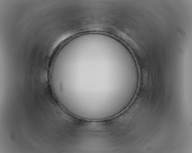 X0000114061166200910191455