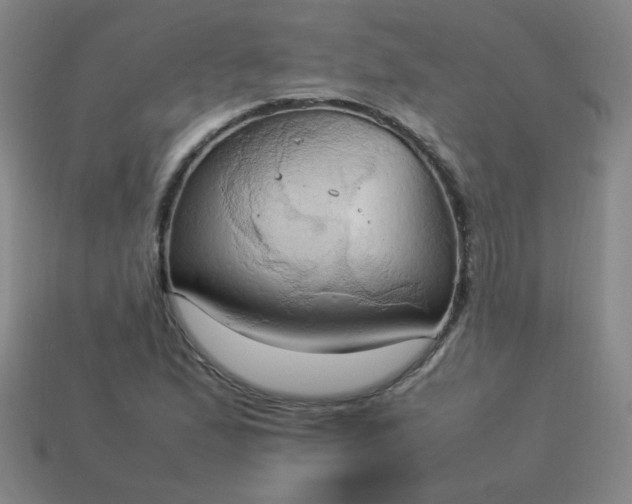 X0000114061167200910191455