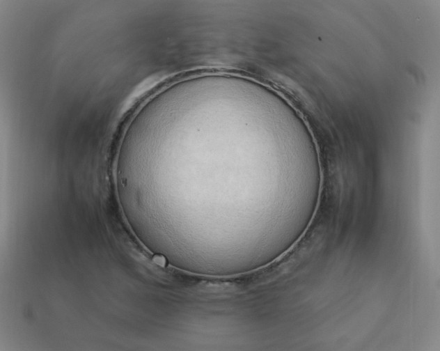 X0000114061168200910191455