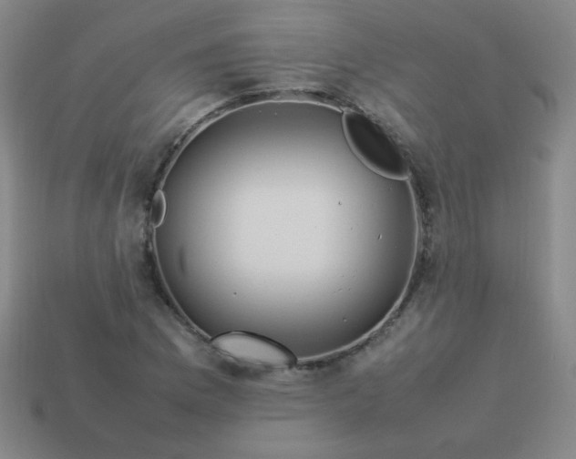 X0000114061169200910191455