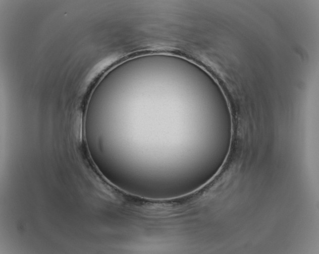 X0000114061171200910191454