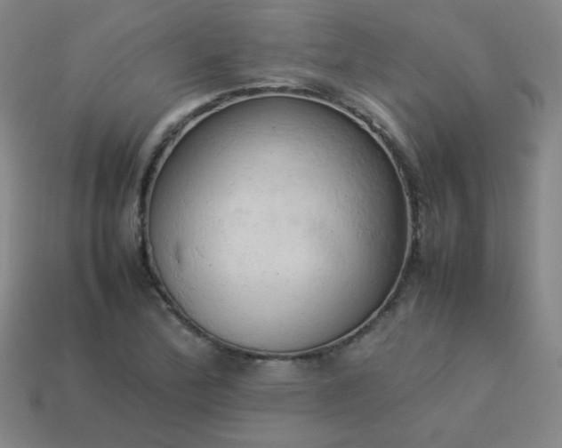 X0000114061172200910191454