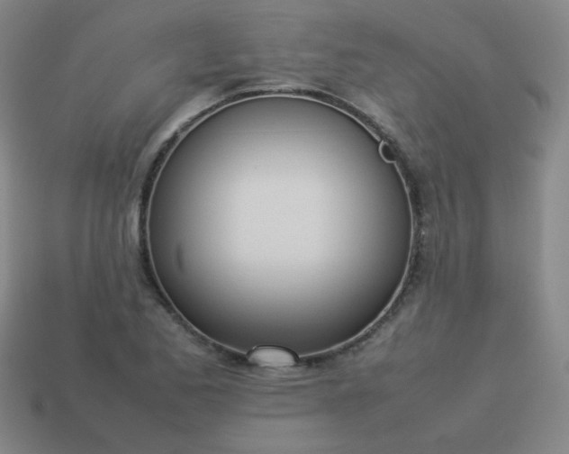 X0000114061173200910191454