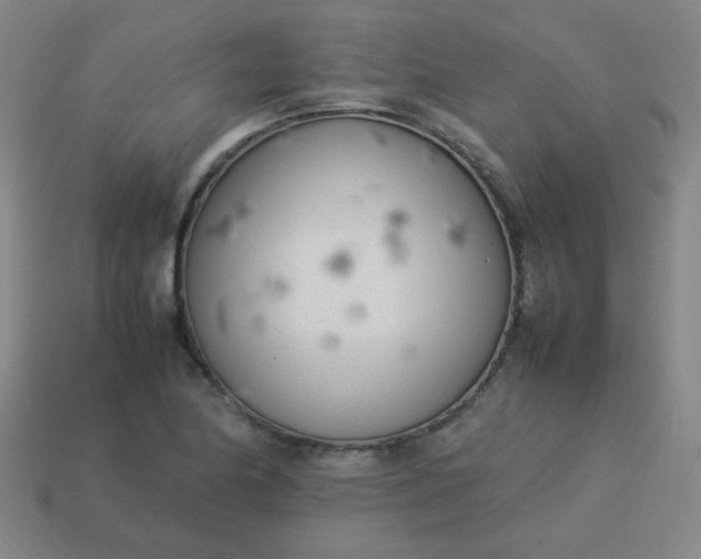 X0000114061174200910191454