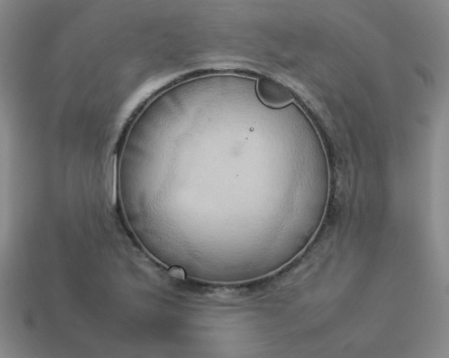 X0000114061175200910191454