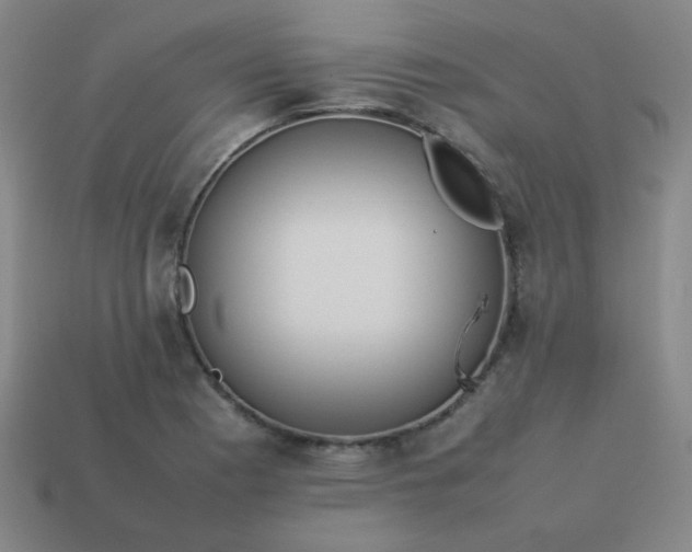 X0000114061177200910191454