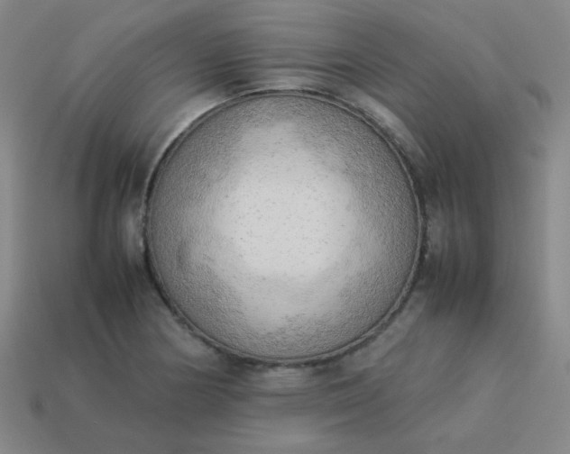 X0000114061178200910191454