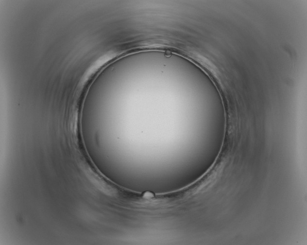 X0000114061179200910191454