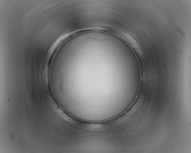 X0000114061180200910191454