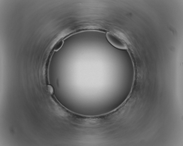 X0000114061181200910191454