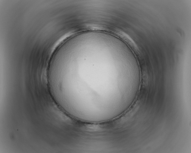 X0000114061182200910191454