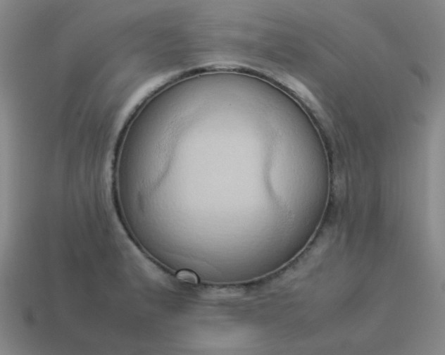 X0000114061183200910191454