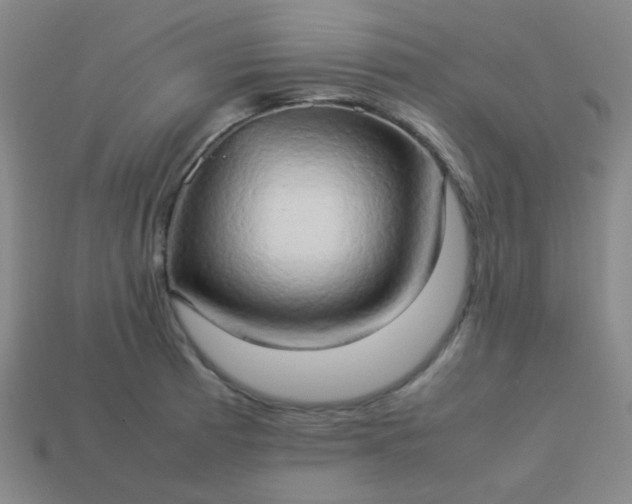 X0000114061185200910191454