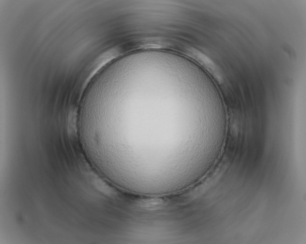 X0000114061186200910191454