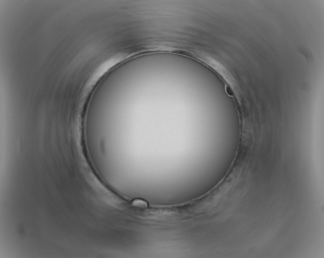 X0000114061187200910191454