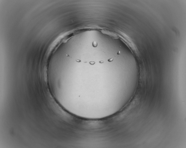 X0000114061188200910191454