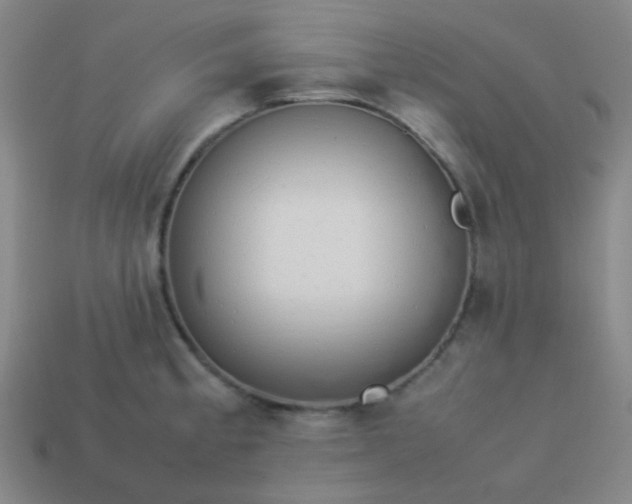 X0000114061189200910191454