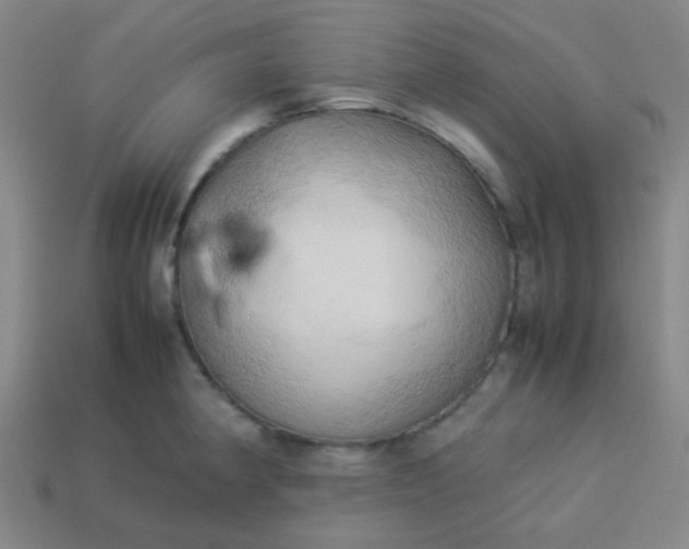 X0000114061190200910191454