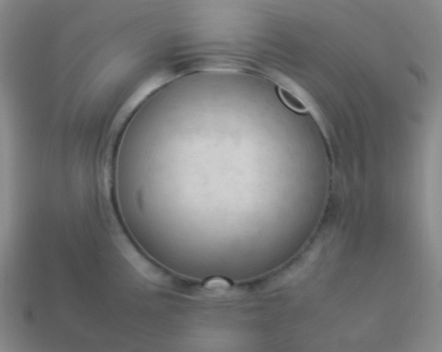 X0000114061195200910191454