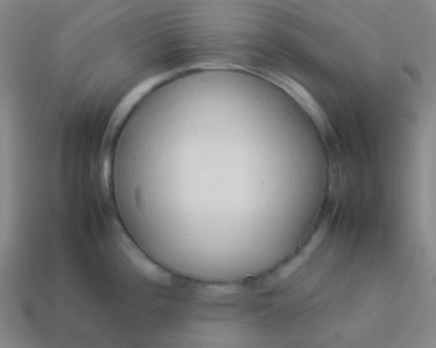 X0000114061196200910191454