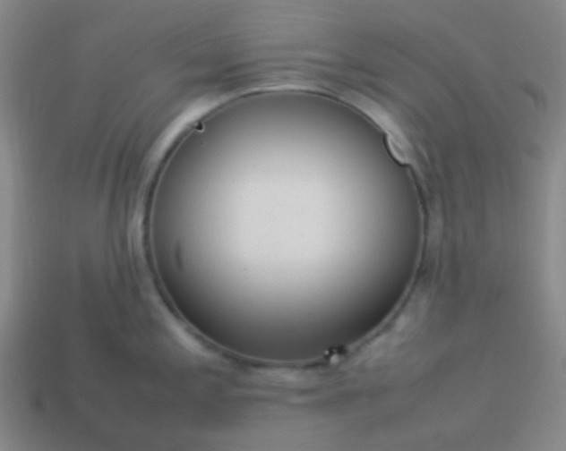 X0000114061197200910191454