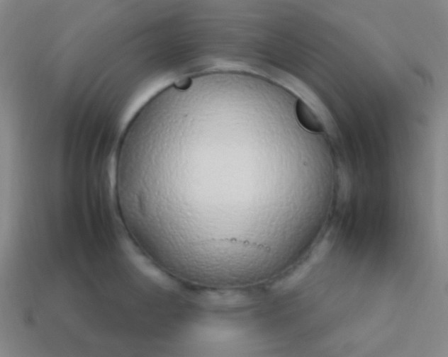 X0000114061198200910191454