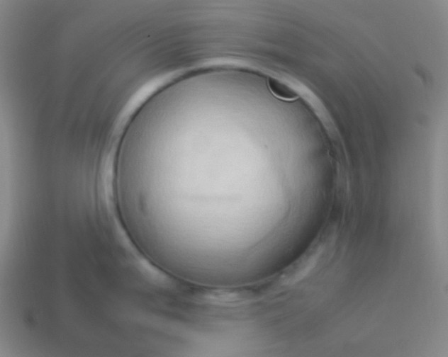 X0000114061199200910191454