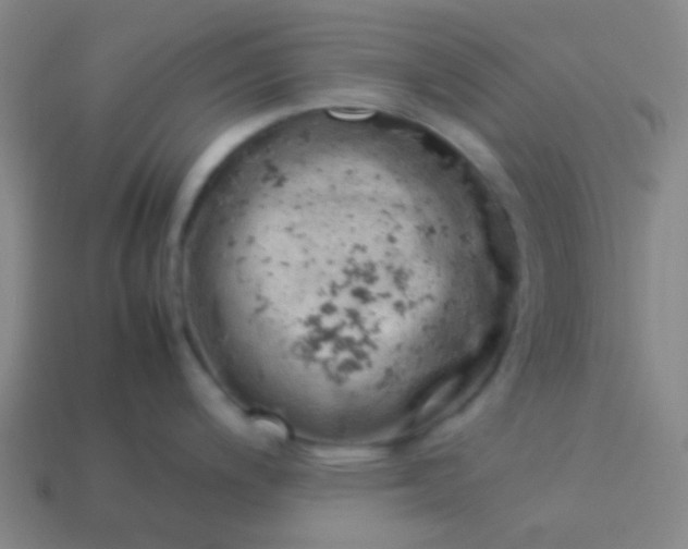 X0000114061200200910191454