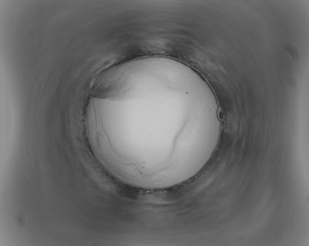 X0000114061201200910191453