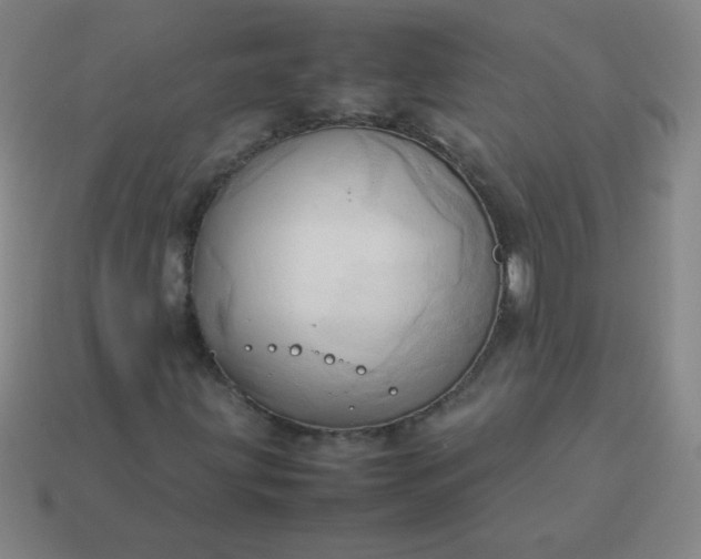 X0000114061203200910191453