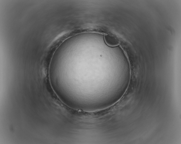 X0000114061206200910191453