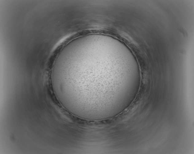 X0000114061208200910191453