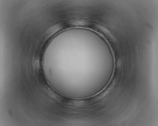 X0000114061209200910191453