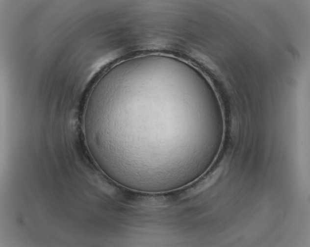 X0000114061210200910191453