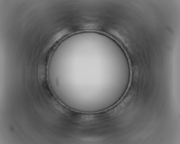 X0000114061211200910191453