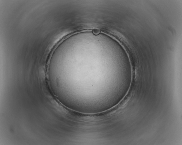 X0000114061212200910191453