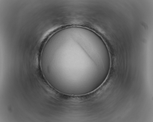 X0000114061214200910191453