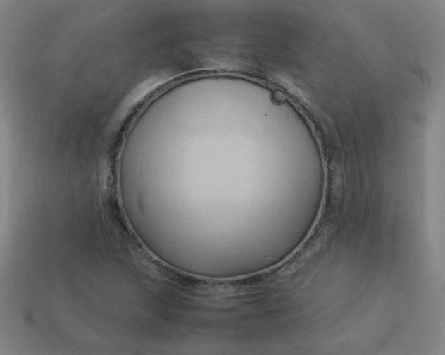 X0000114061215200910191454