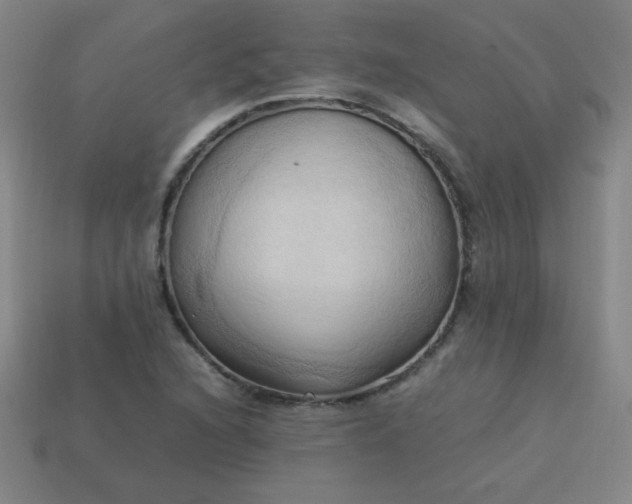 X0000114061216200910191454