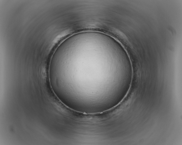 X0000114061218200910191454