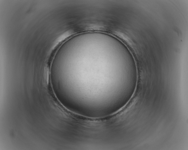 X0000114061219200910191454