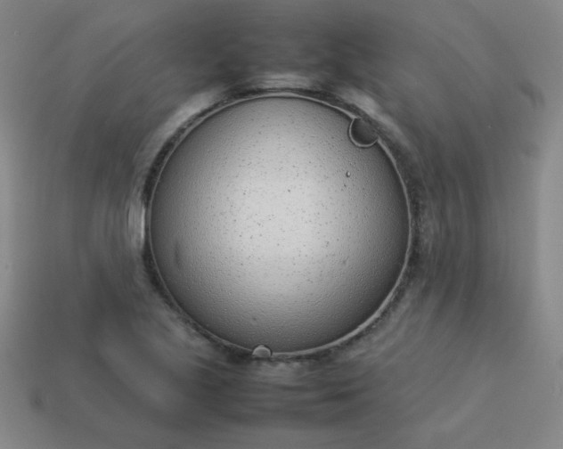 X0000114061221200910191454