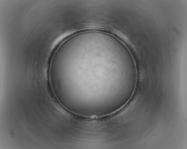 X0000114061222200910191454