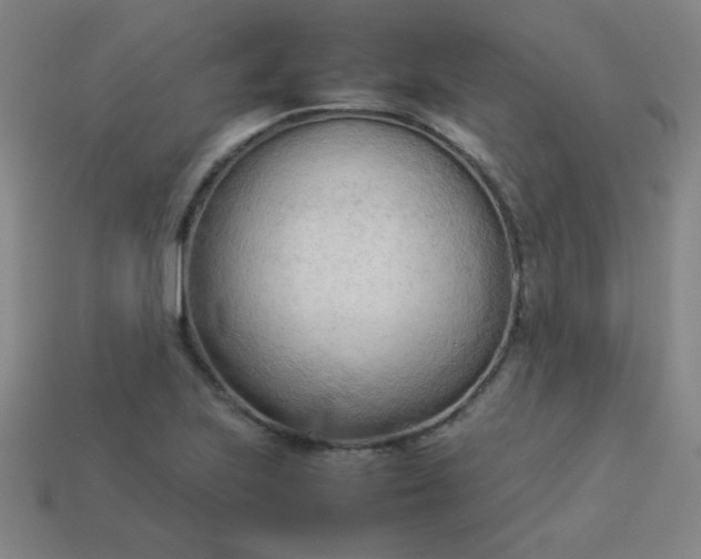 X0000114061223200910191454